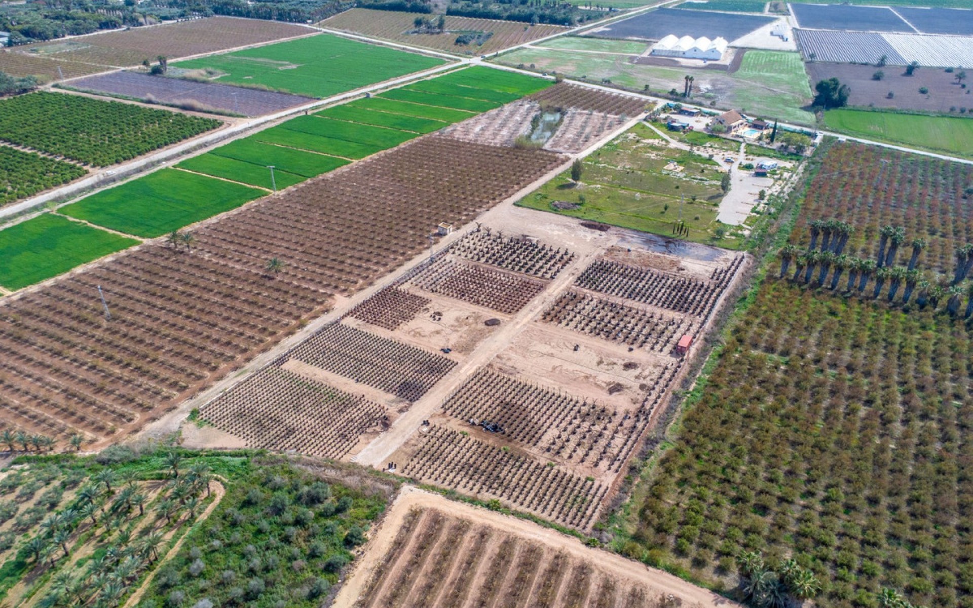 A Vendre - Maison de campagne - Crevillente