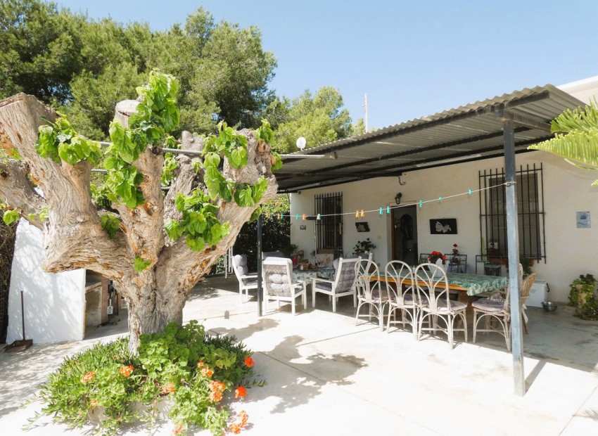 A Vendre - Maison de campagne - Dolores - Dolores Centro