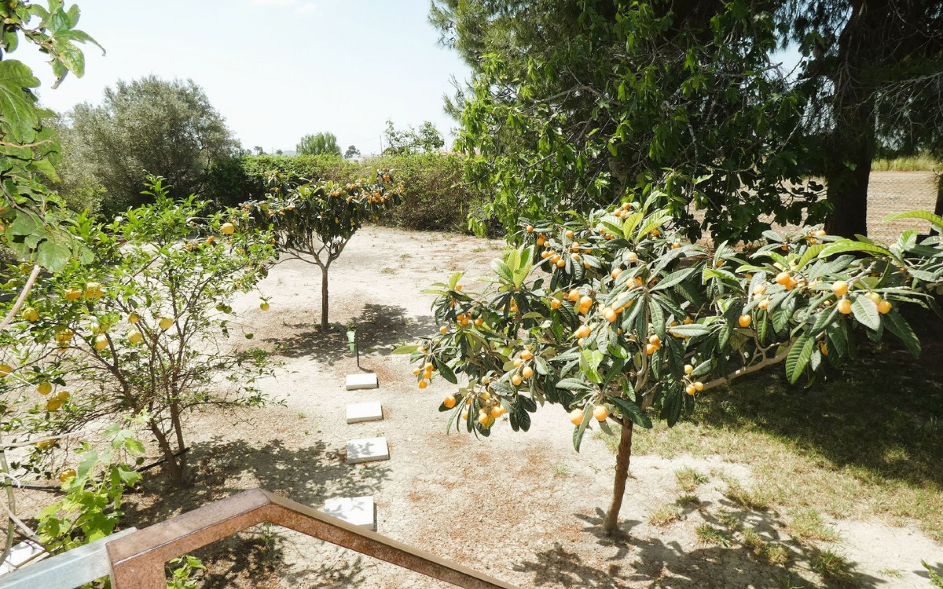 A Vendre - Maison de campagne - Dolores - Dolores Centro