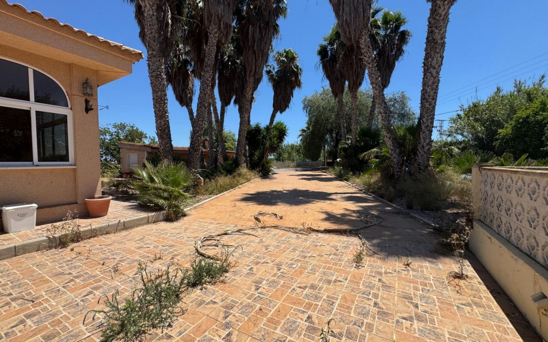 A Vendre - Maison de campagne - Dolores - Dolores Centro