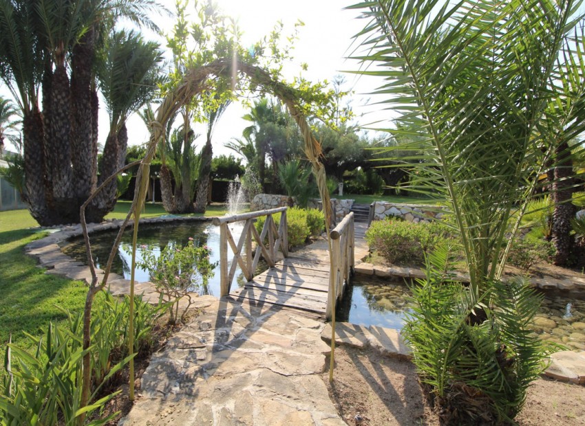 A Vendre - Maison de campagne - Elche - Valverde