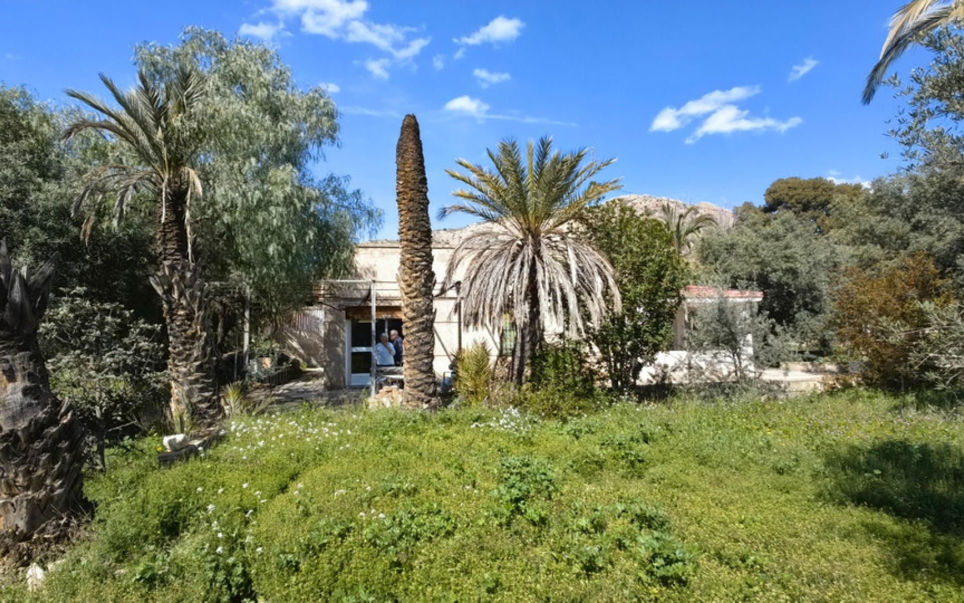 A Vendre - Maison de campagne - Elda - Elda Centro