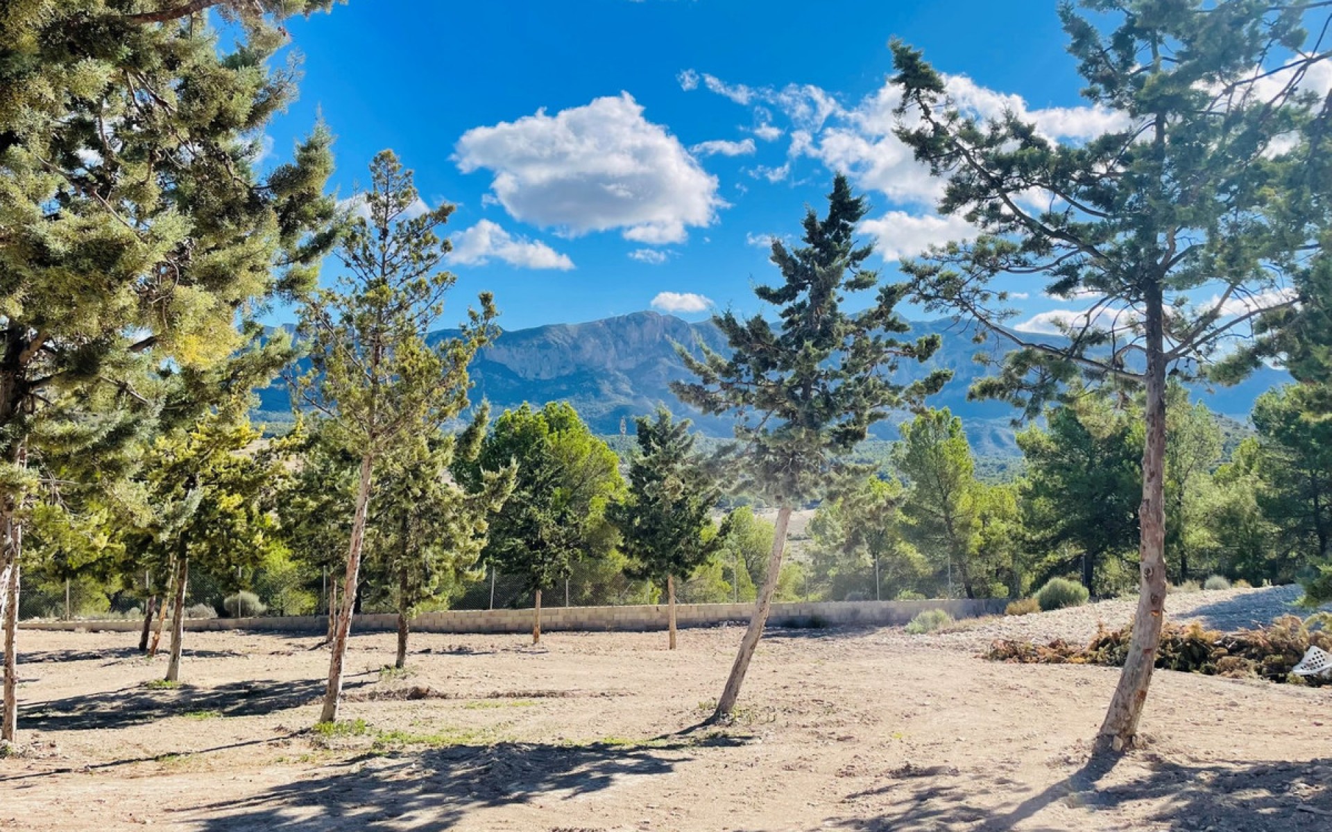 A Vendre - Maison de campagne - Jijona - Xixona - Jijona - Xixona Centro