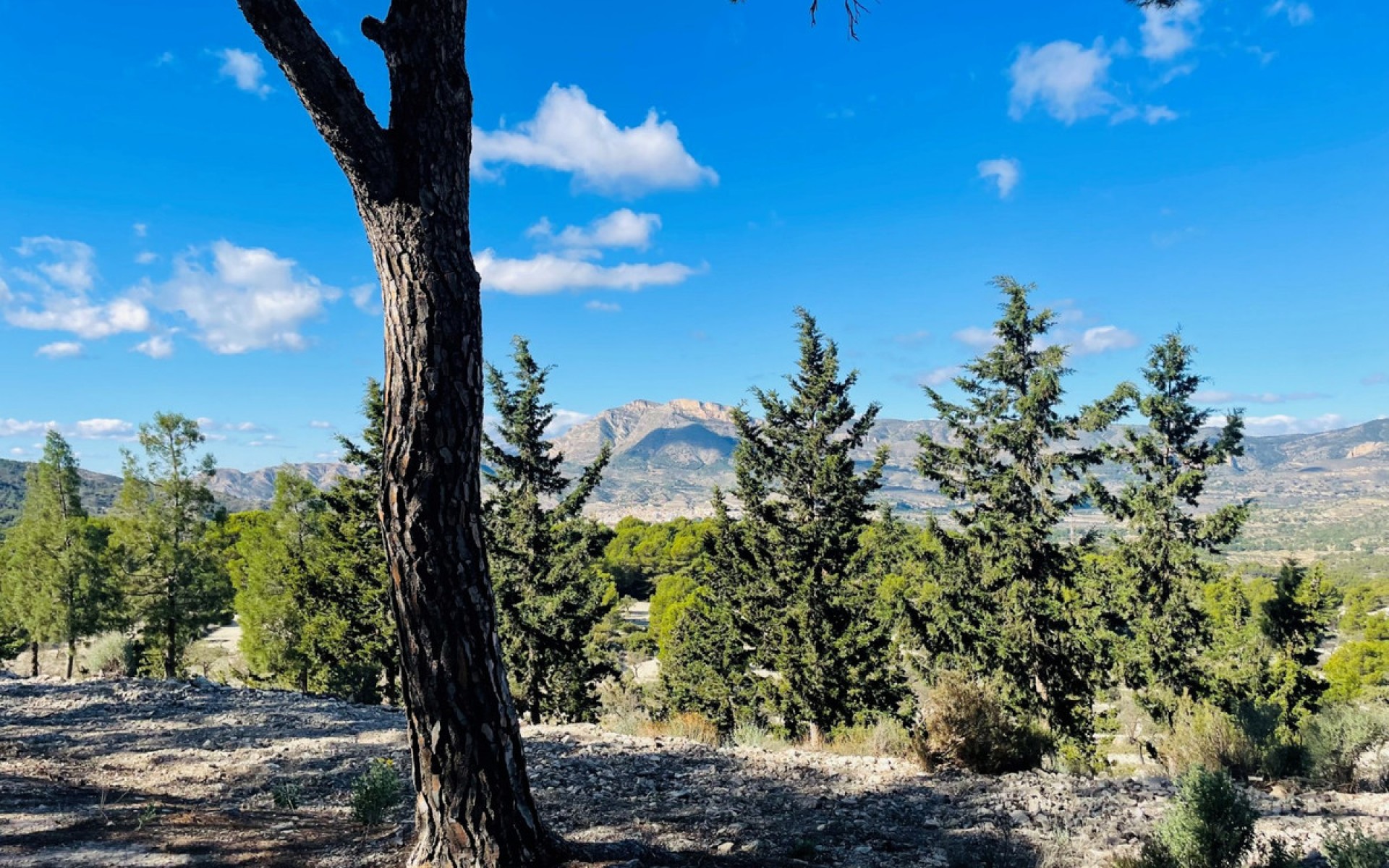 A Vendre - Maison de campagne - Jijona - Xixona - Jijona - Xixona Centro