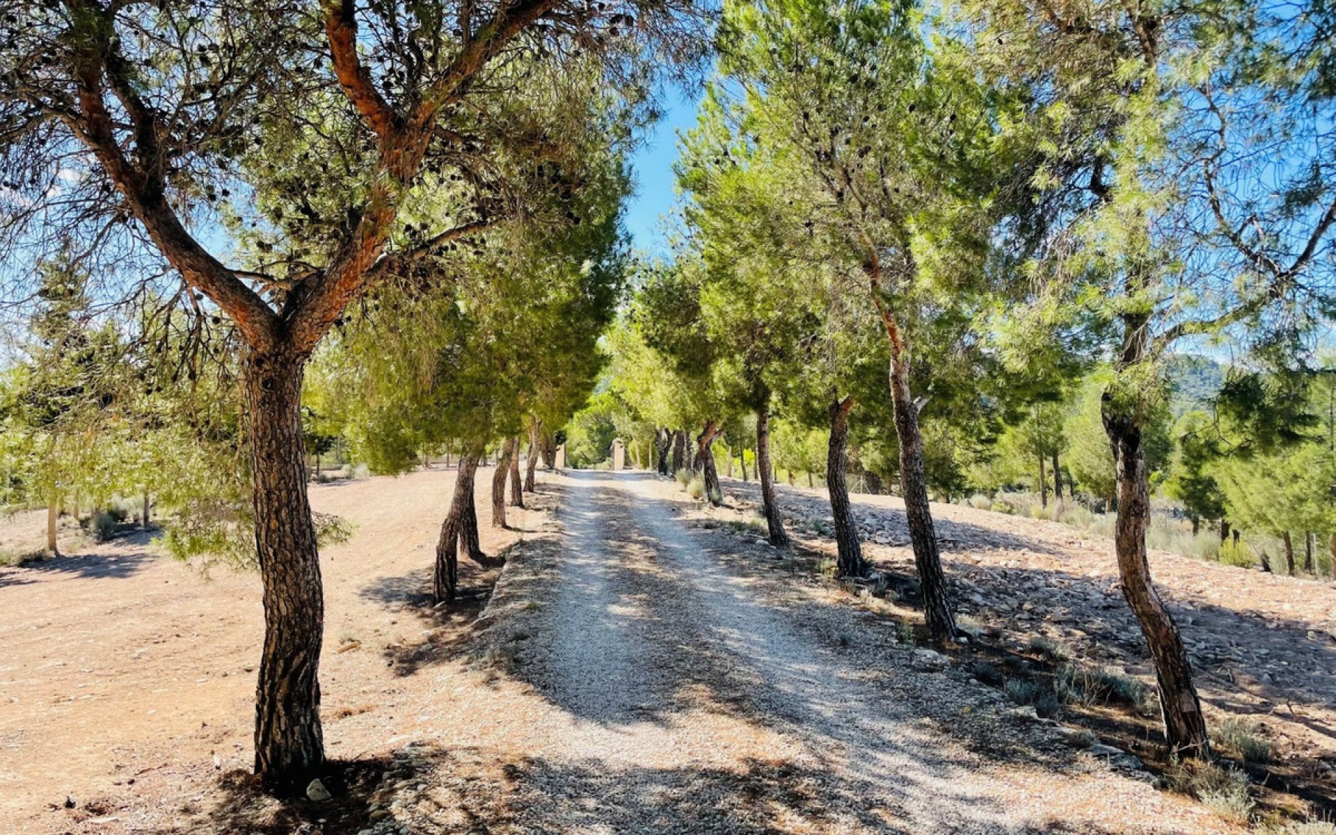 A Vendre - Maison de campagne - Jijona - Xixona - Jijona - Xixona Centro