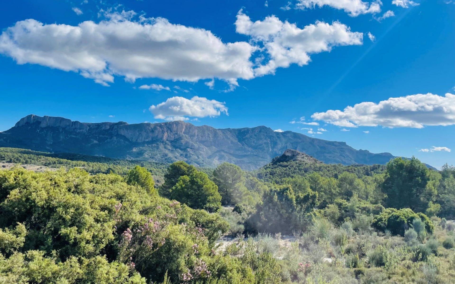 A Vendre - Maison de campagne - Jijona - Xixona - Jijona - Xixona Centro