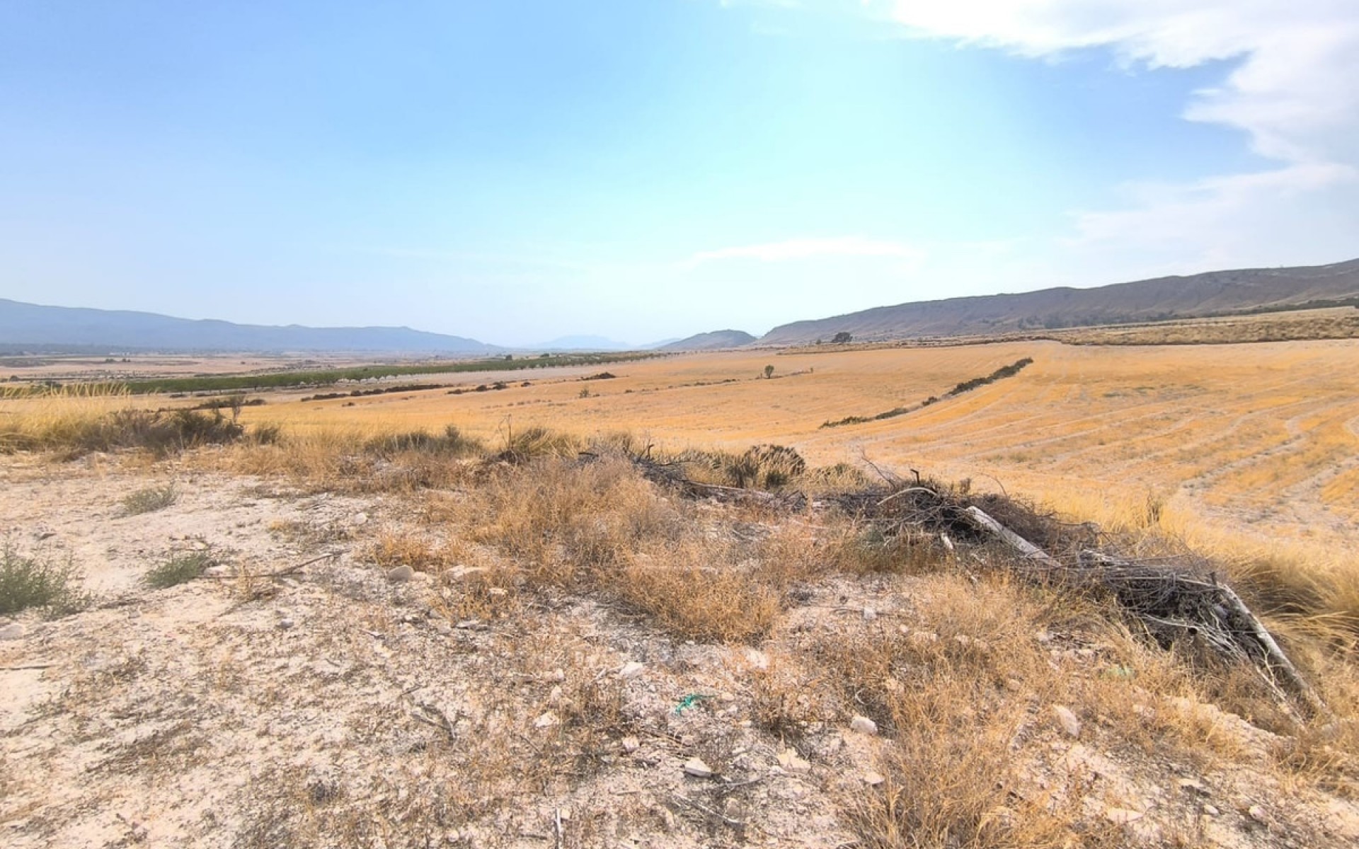 A Vendre - Maison de campagne - Jumilla - Jumilla Centro