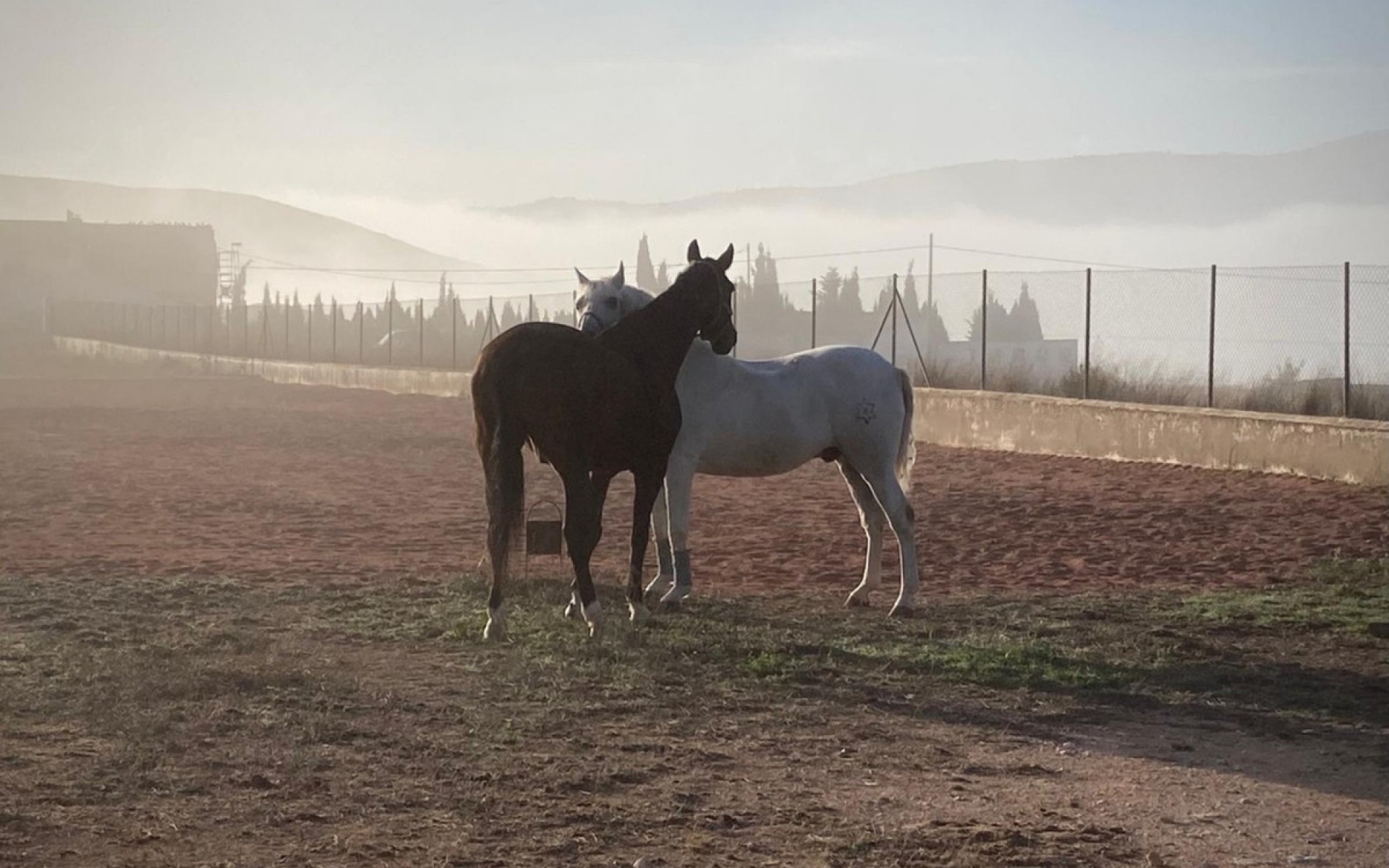 A Vendre - Maison de campagne - Jumilla - Torre del Rico