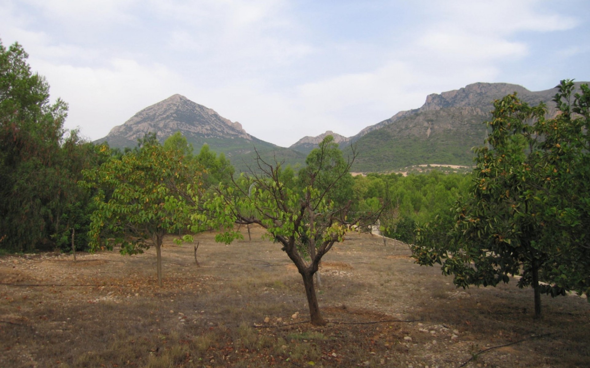 A Vendre - Maison de campagne - La Nucia - La Nucia Centro