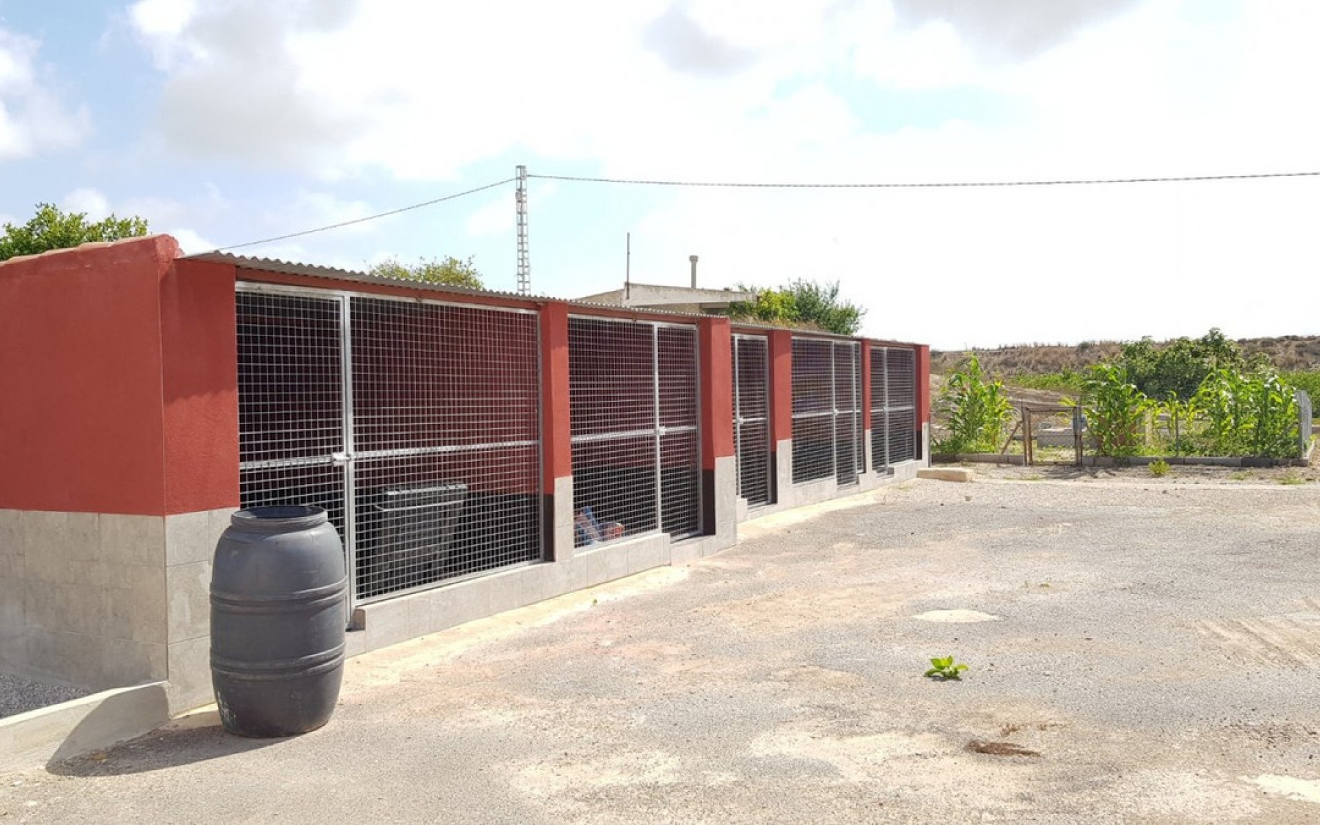 A Vendre - Maison de campagne - Los Montesinos - Los Montesinos Centro