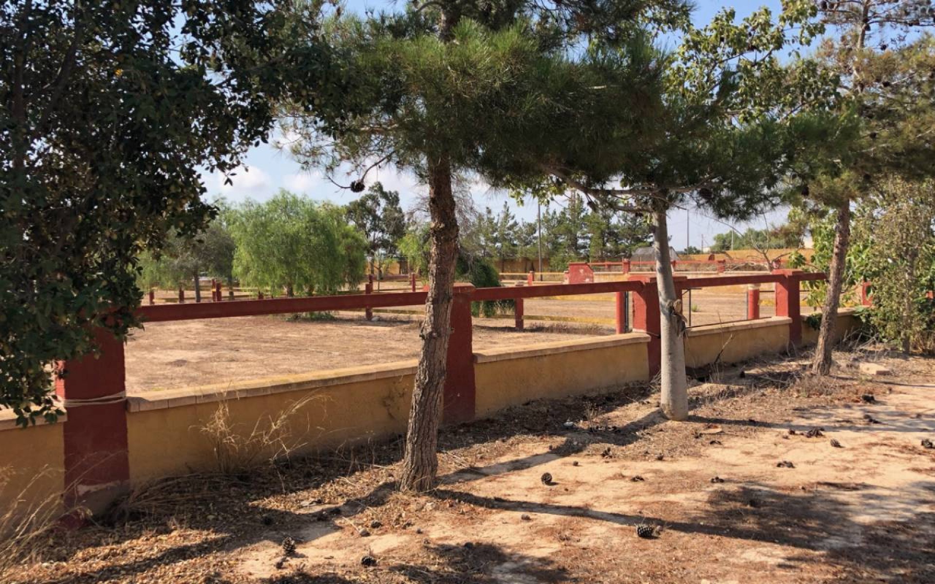 A Vendre - Maison de campagne - Los Montesinos