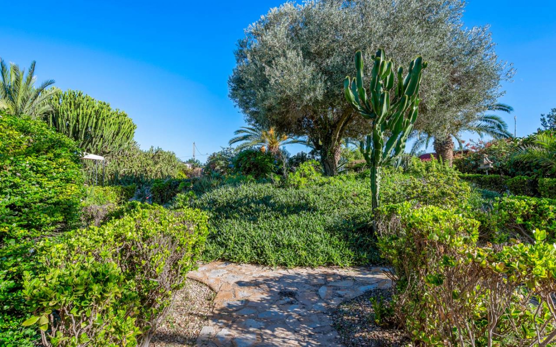 A Vendre - Maison de campagne - Los Montesinos