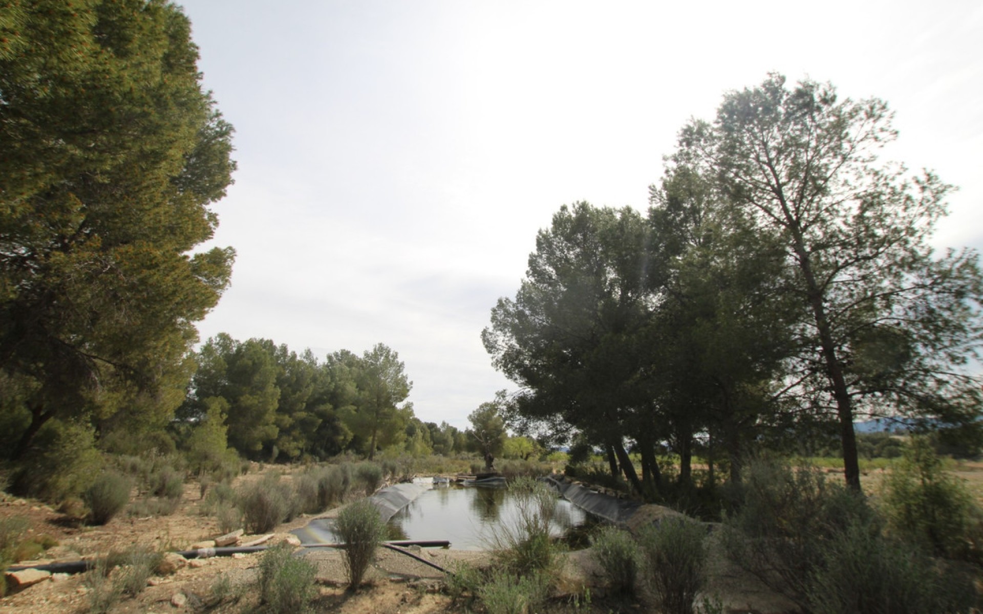 A Vendre - Maison de campagne - Monóvar - Monòver - Monóvar - Monòver Centro