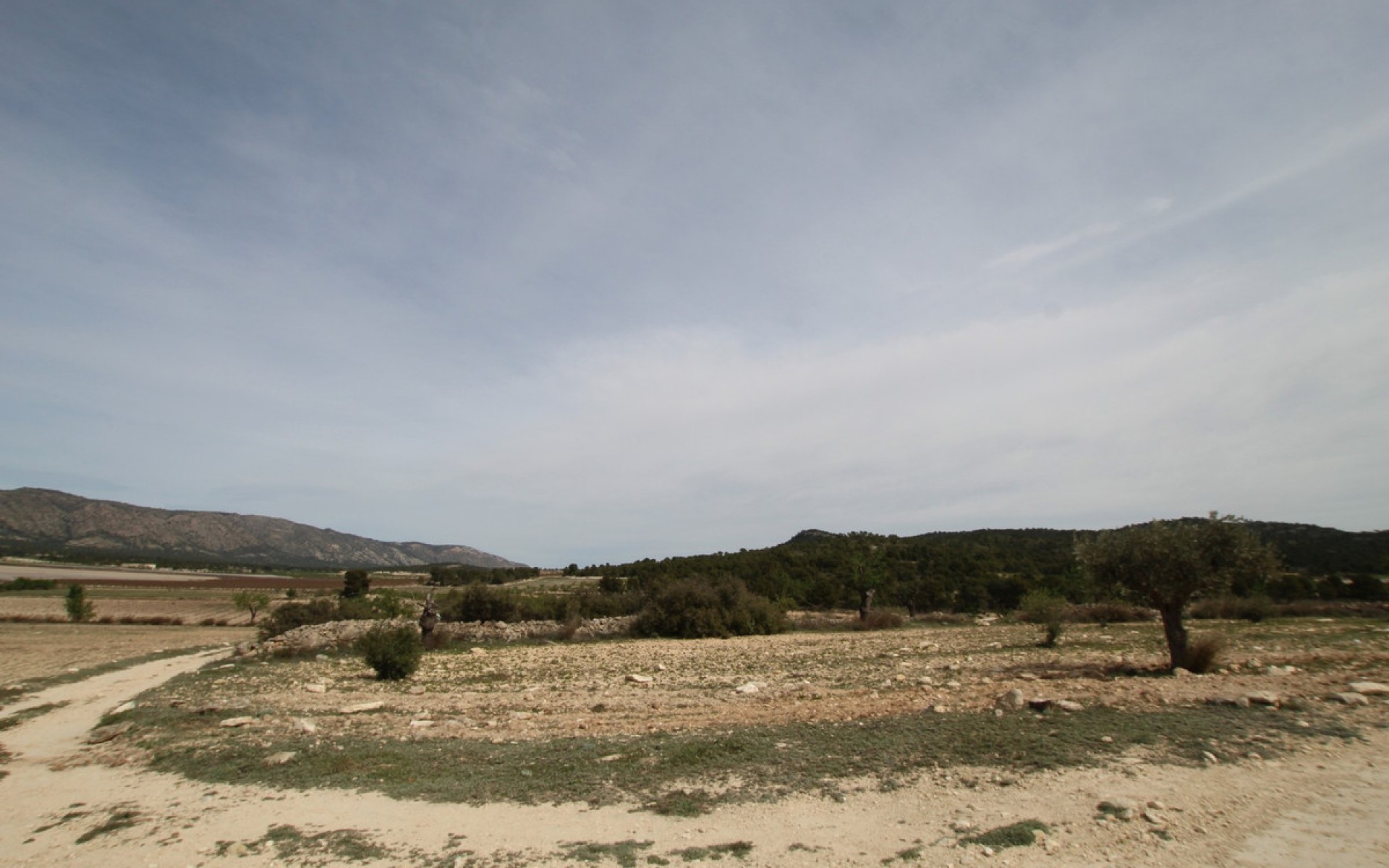 A Vendre - Maison de campagne - Monóvar - Monòver - Monóvar - Monòver Centro