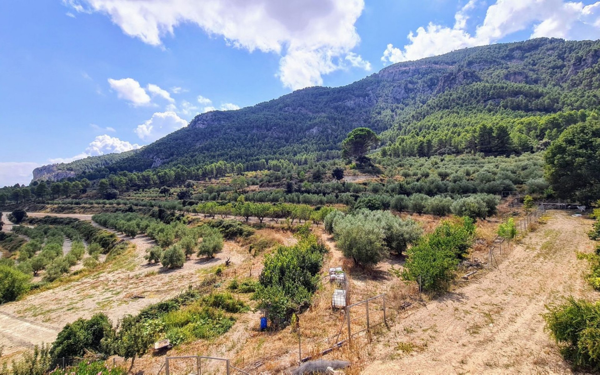 A Vendre - Maison de campagne - Muro de Alcoy - Muro de Alcoy Centro