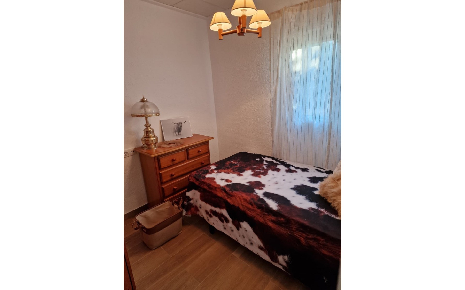 A Vendre - Maison de campagne - Novelda - Novelda Centro