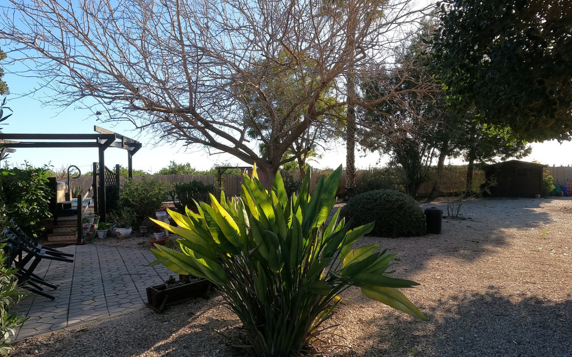 A Vendre - Maison de campagne - Orihuela - La Campaneta