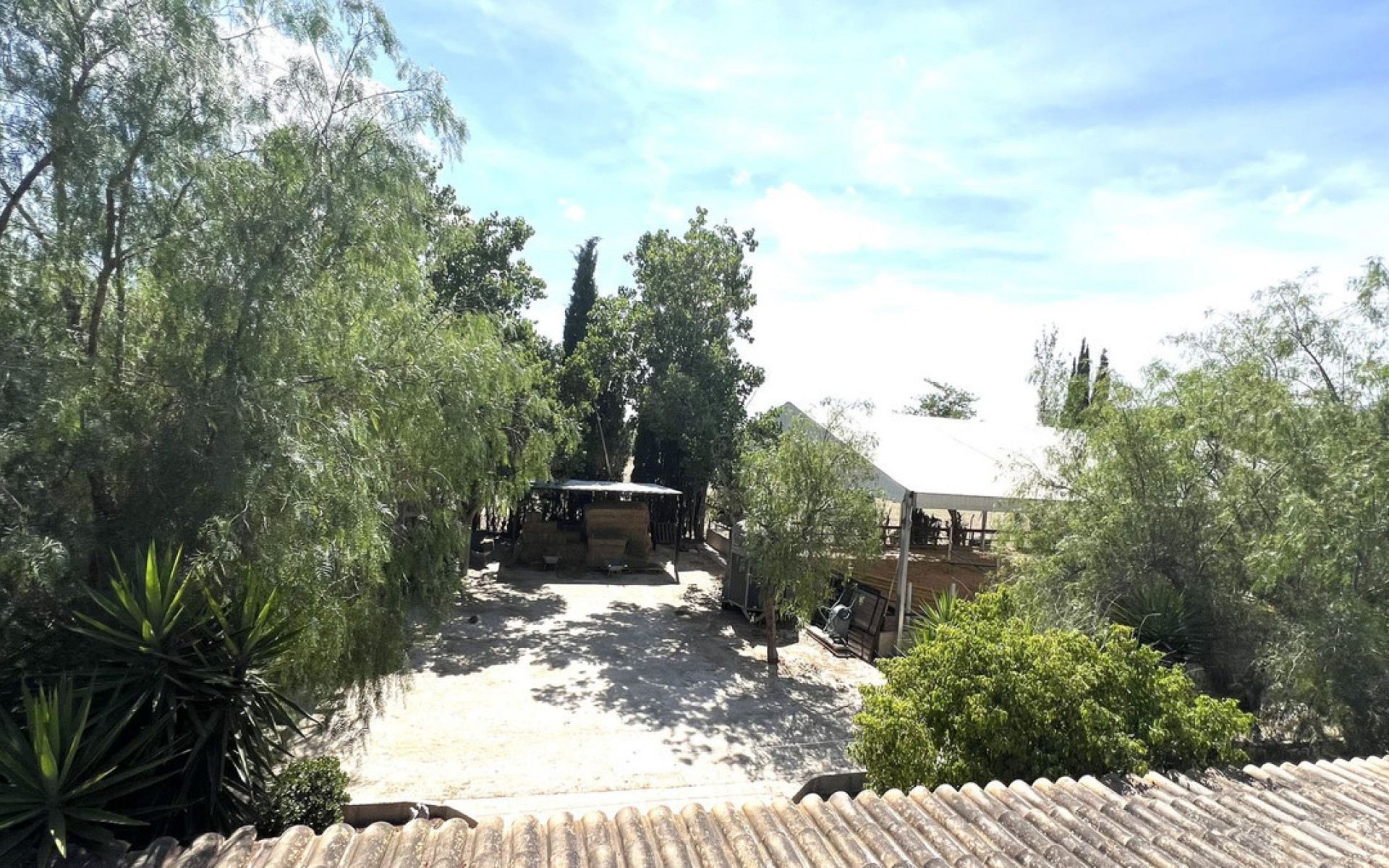 A Vendre - Maison de campagne - Orihuela - Orihuela Centro