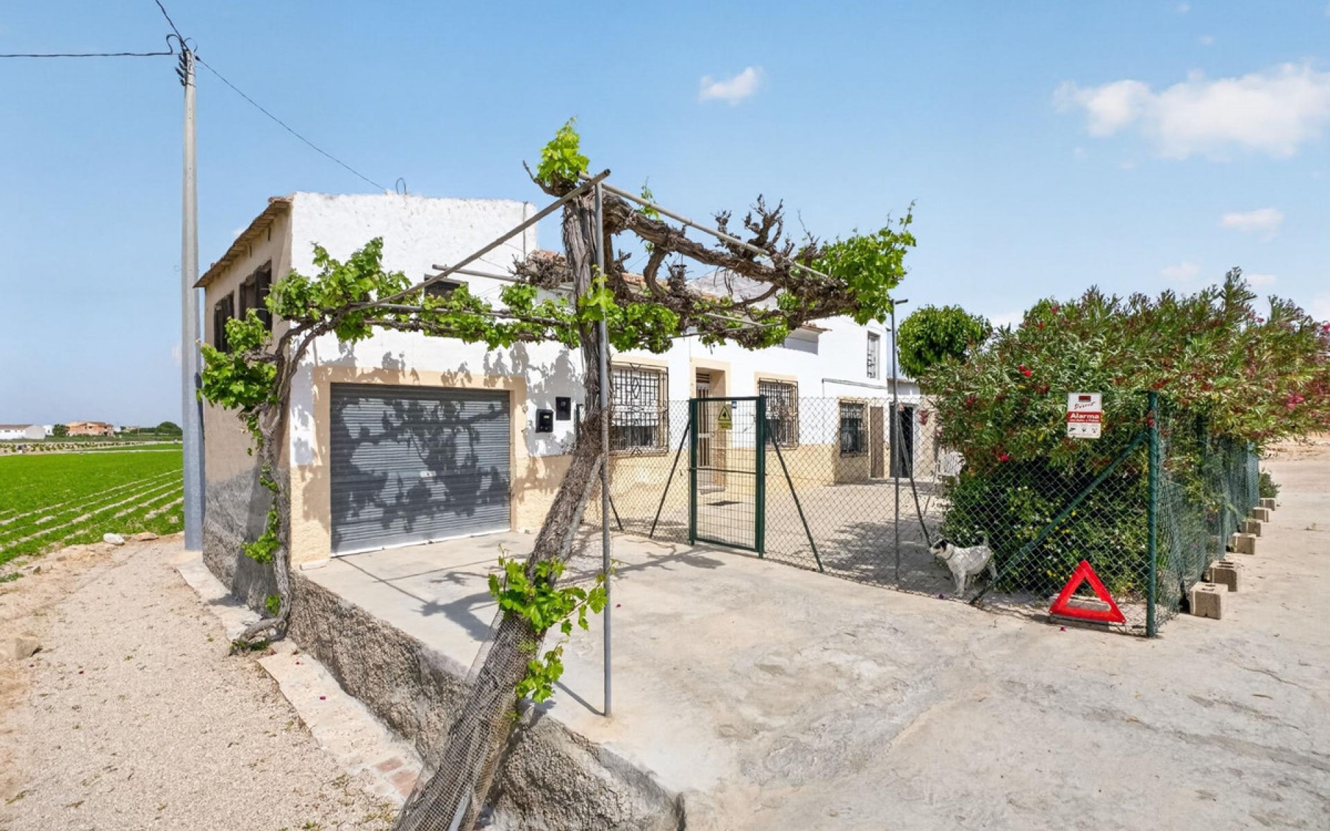 A Vendre - Maison de campagne - Orihuela - Orihuela Centro