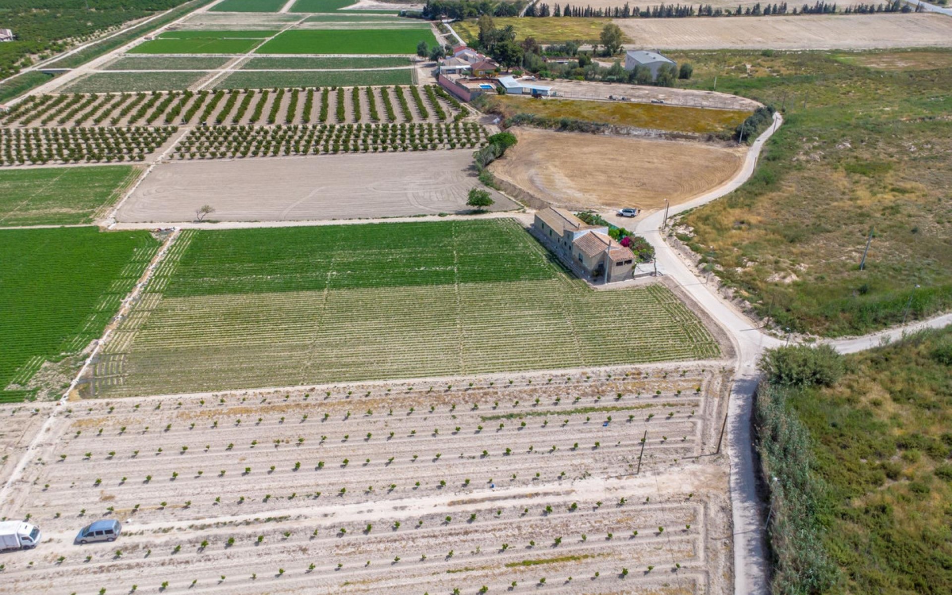 A Vendre - Maison de campagne - Orihuela - Orihuela Centro