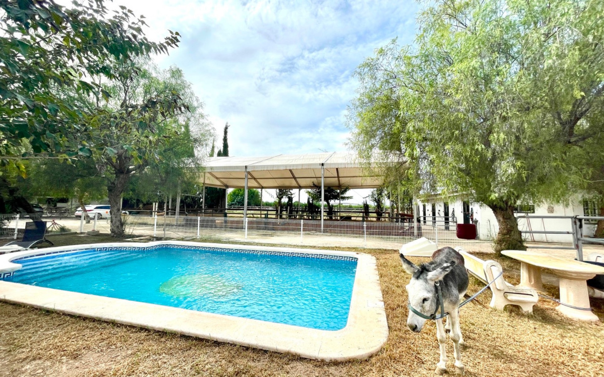 A Vendre - Maison de campagne - Orihuela - Orihuela Centro