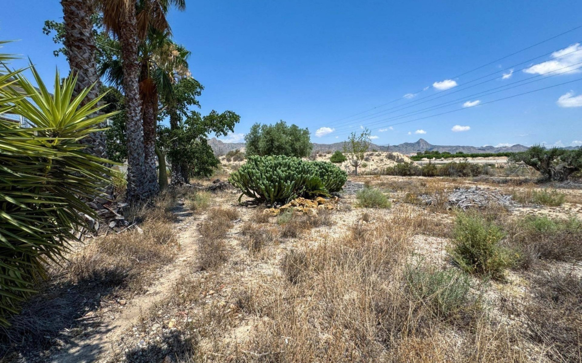 A Vendre - Maison de campagne - Orihuela - Orihuela Centro