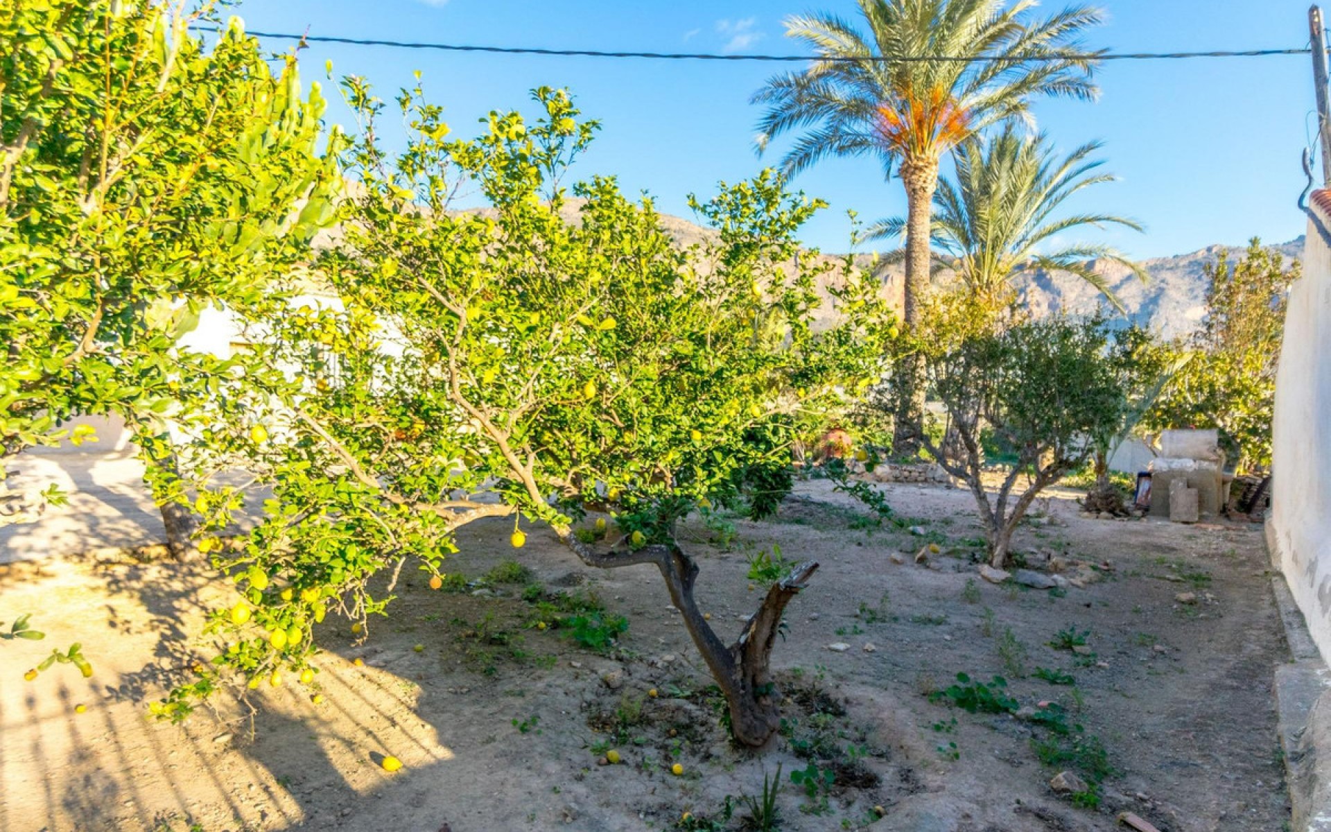 A Vendre - Maison de campagne - Orihuela