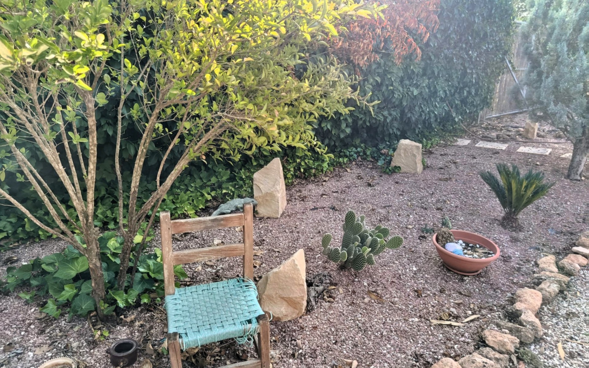 A Vendre - Maison de campagne - Pinoso - Pinoso Centro