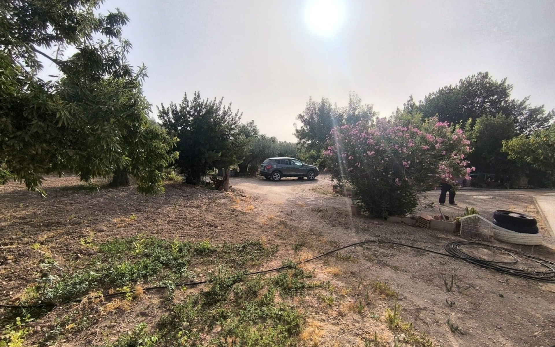 A Vendre - Maison de campagne - Pinoso - Pinoso Centro
