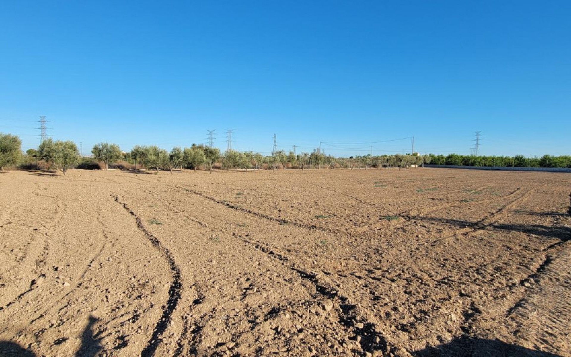 A Vendre - Maison de campagne - San Miguel De Salinas - San Miguel de Salinas Centro