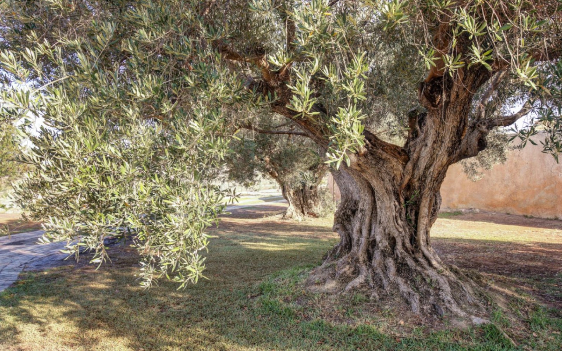 A Vendre - Maison de campagne - Teulada - Moraira