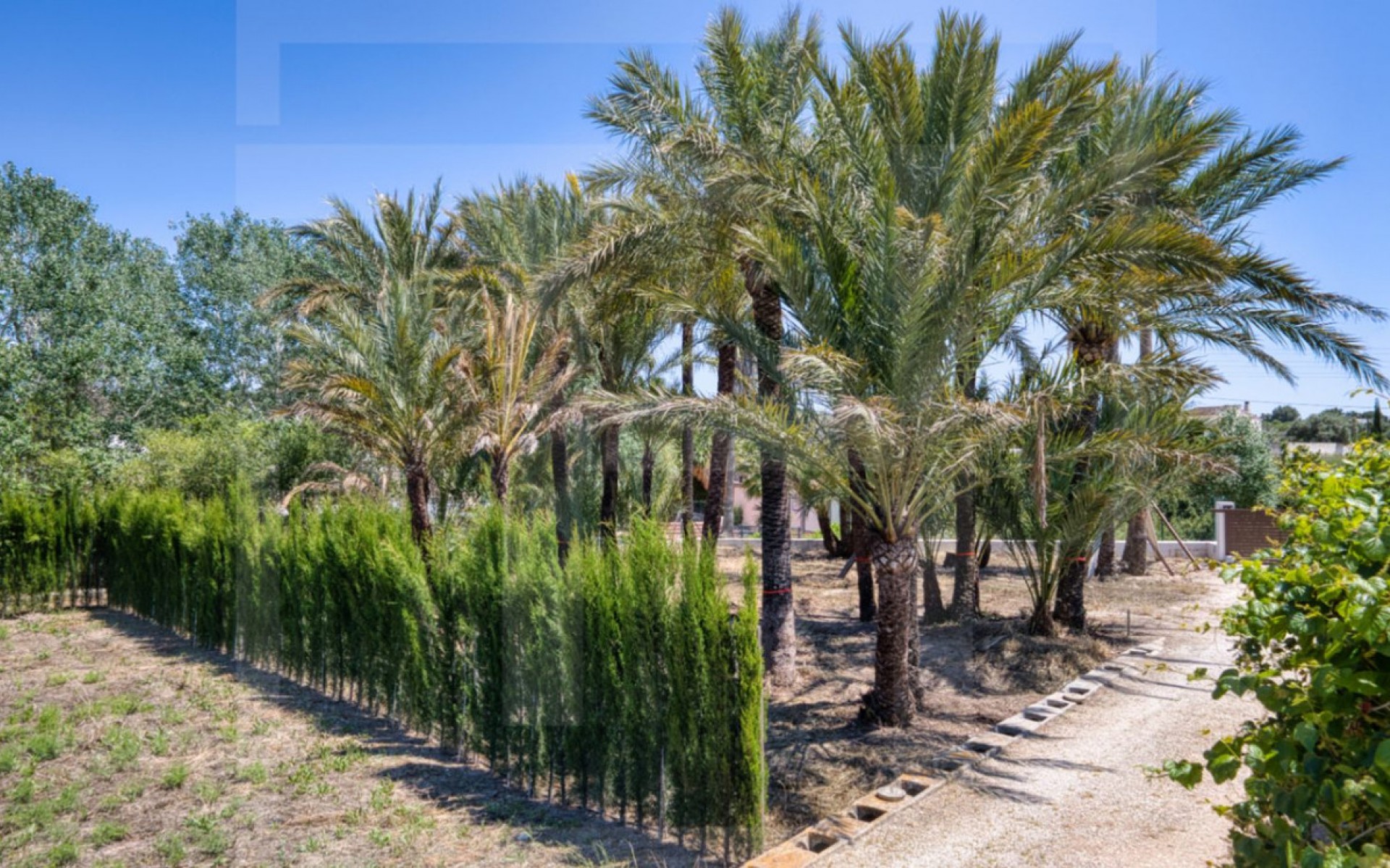 A Vendre - Maison de campagne - Teulada - Teulada Centro