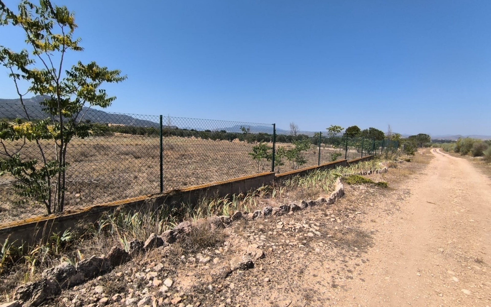 A Vendre - Maison de campagne - Villena - Villena Centro