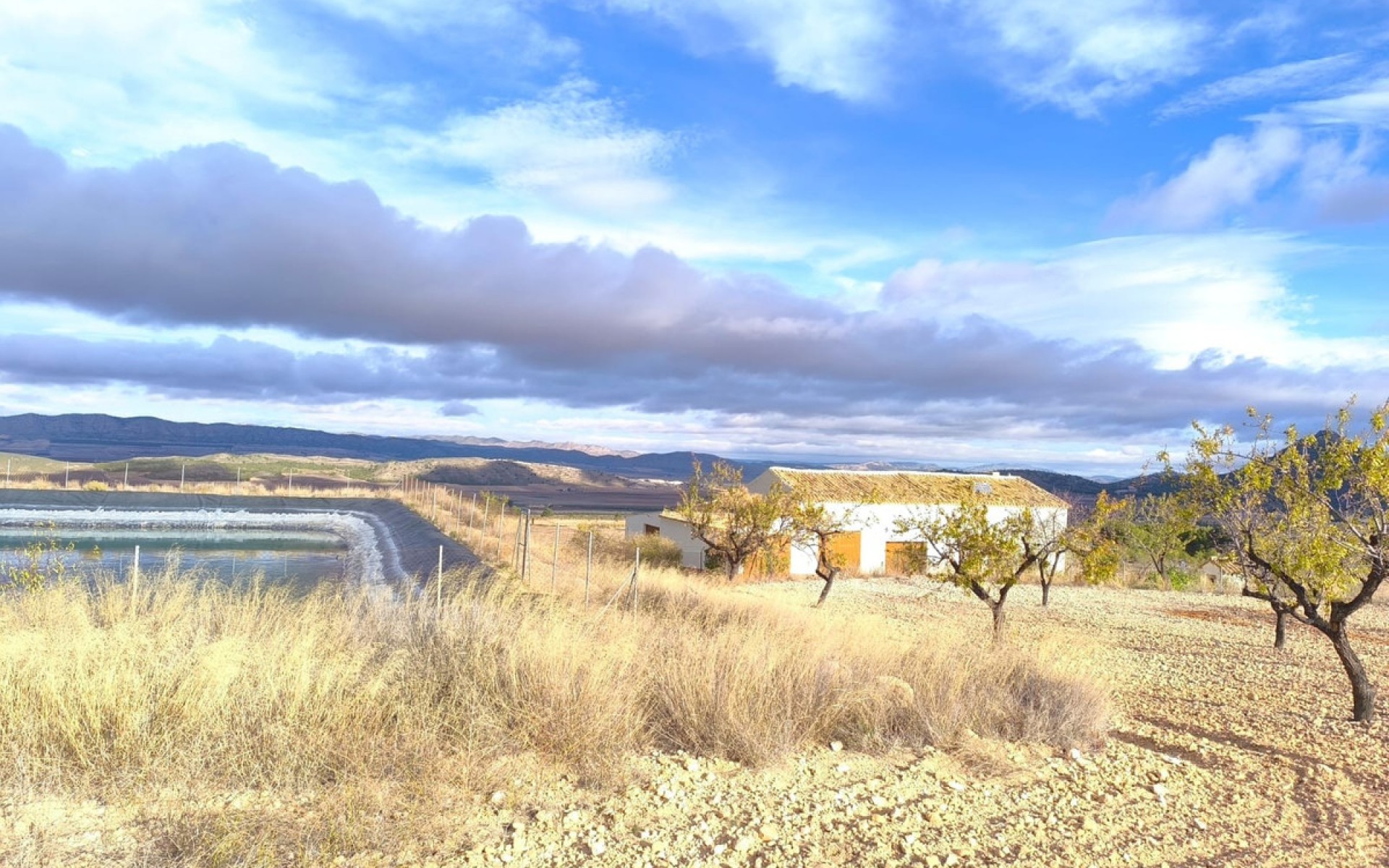 A Vendre - Maison de campagne - Yecla - Yecla Centro