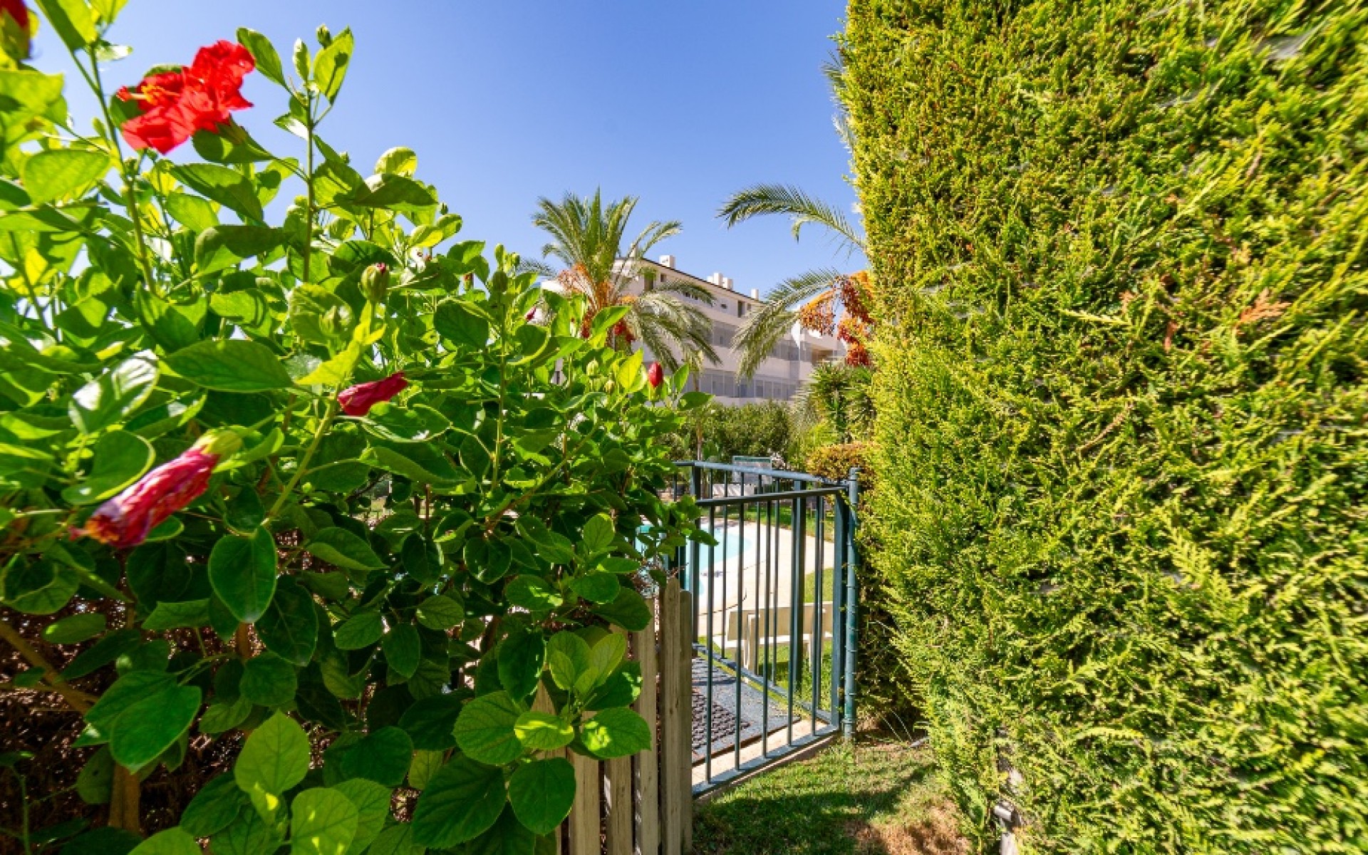 A Vendre - Maison de ville - Finestrat