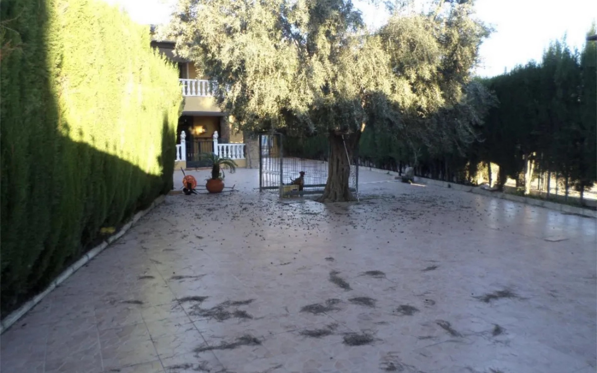 A Vendre - Maison de ville - Orihuela - Orihuela Centro