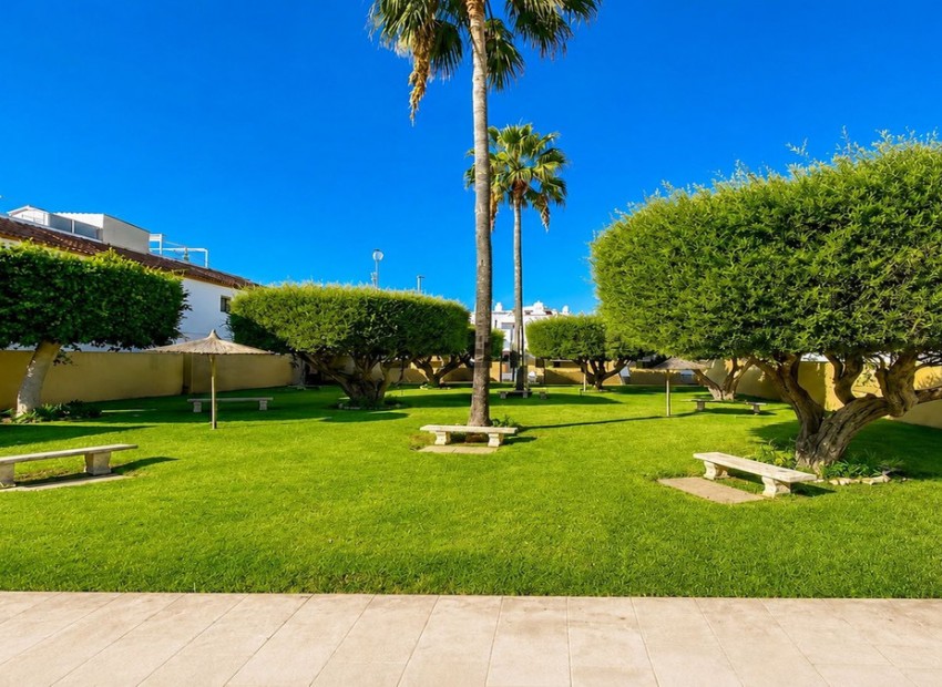 A Vendre - Maison de ville - Torrevieja - Torrevieja Centro