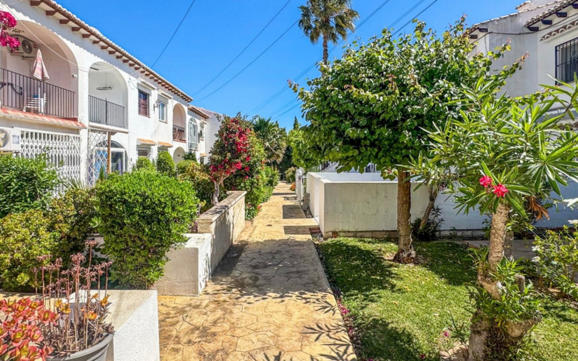 A Vendre - Maison de ville - Torrevieja - Torrevieja Centro