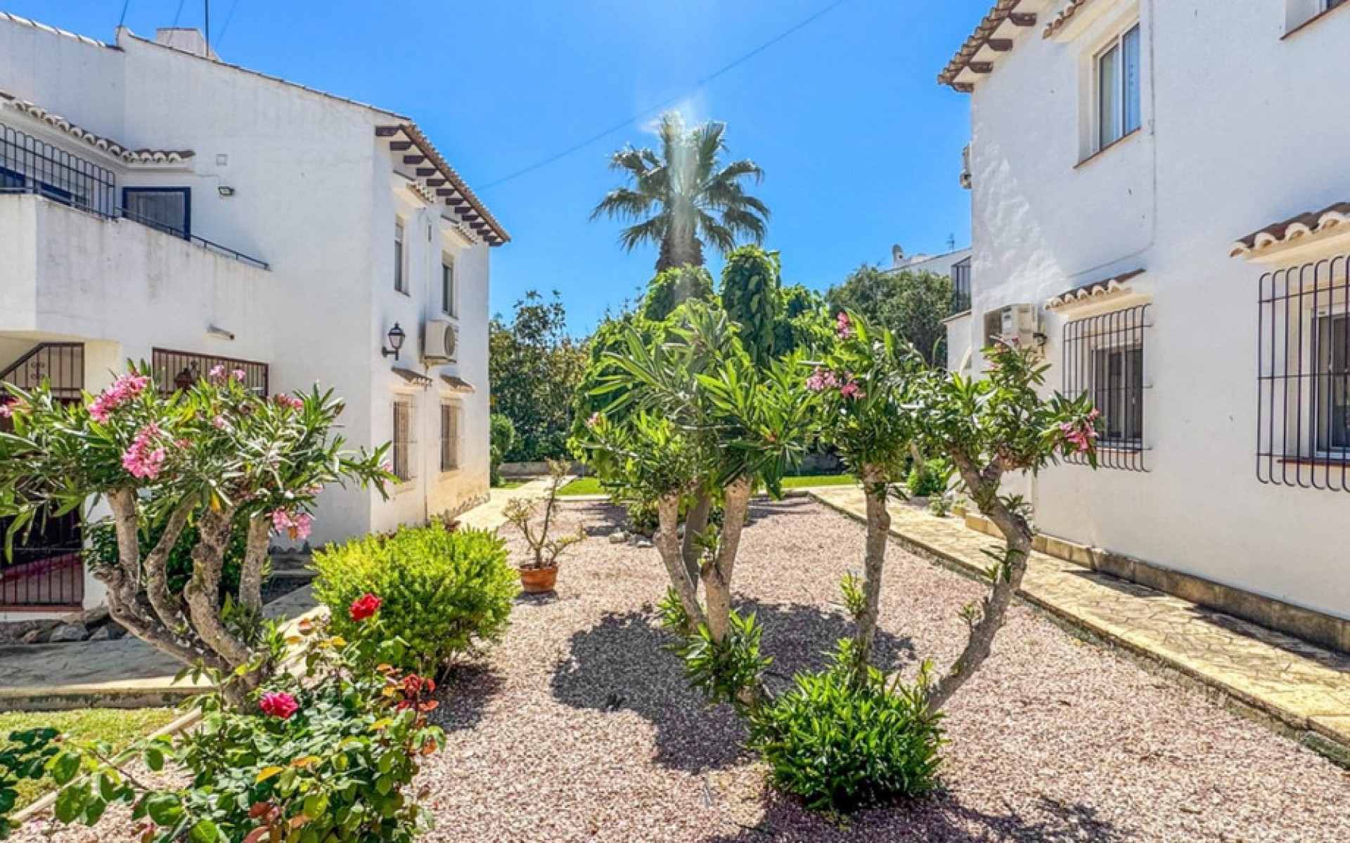 A Vendre - Maison de ville - Torrevieja - Torrevieja Centro