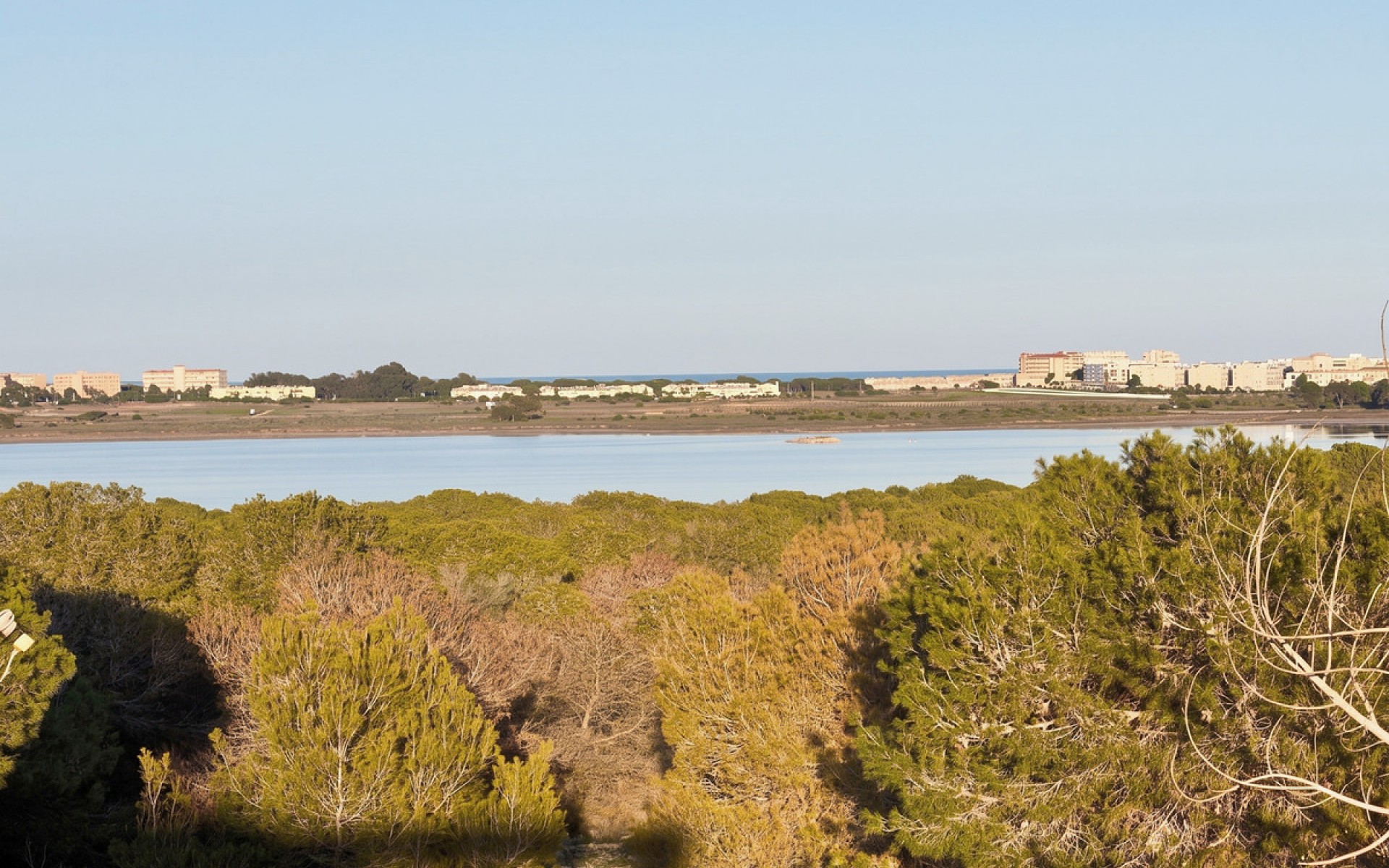 A Vendre - Maison de ville - Torrevieja - Torrevieja Centro