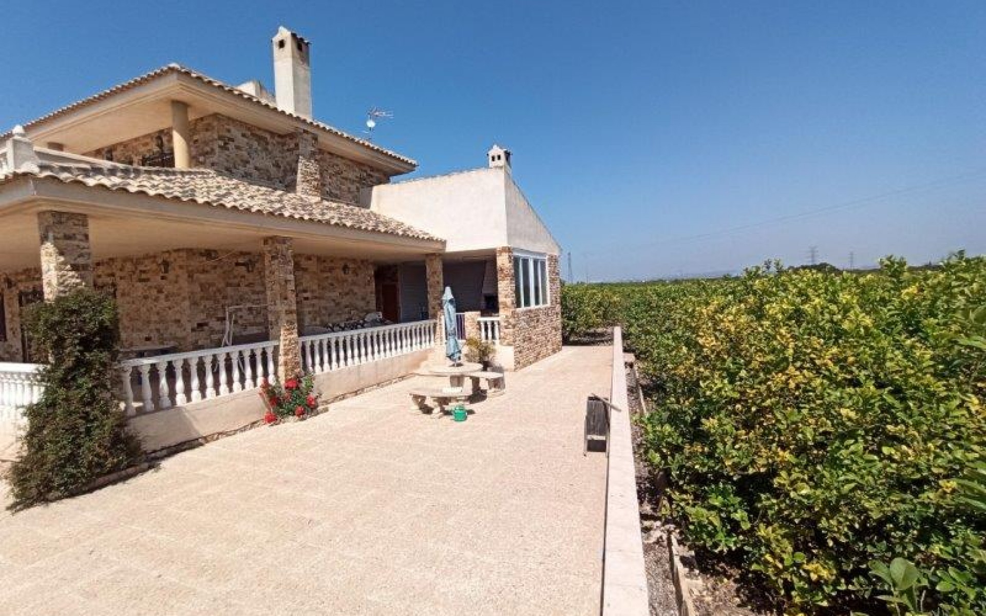 A Vendre -  - San Miguel De Salinas - San Miguel de Salinas