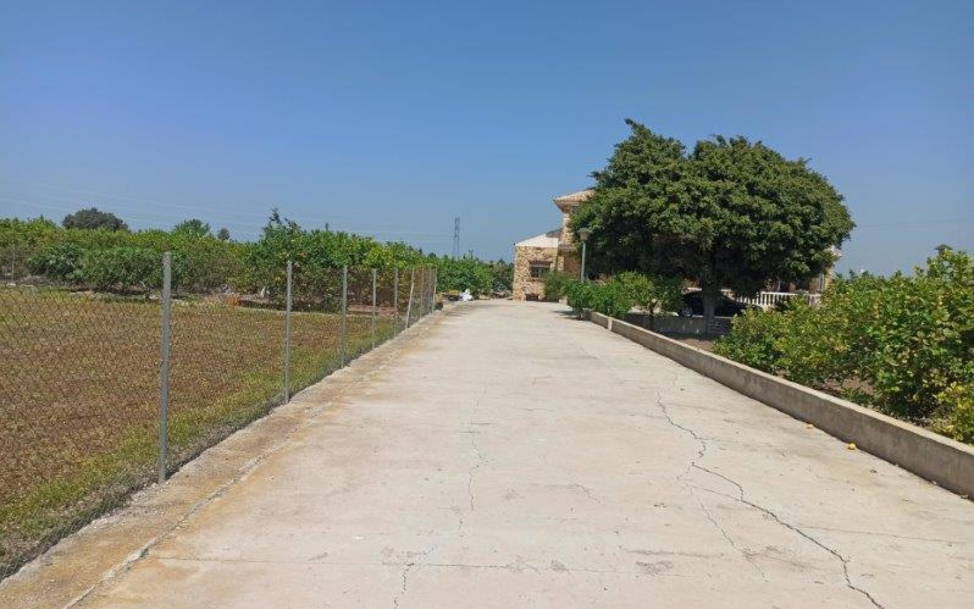 A Vendre -  - San Miguel De Salinas - San Miguel de Salinas