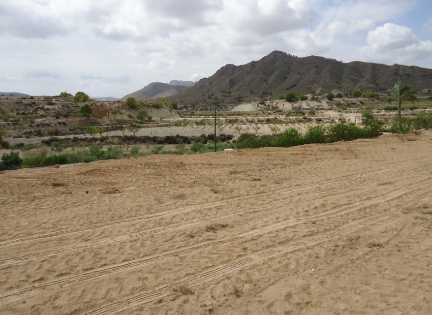 A Vendre - Terre - Abanilla - Abanilla Centro