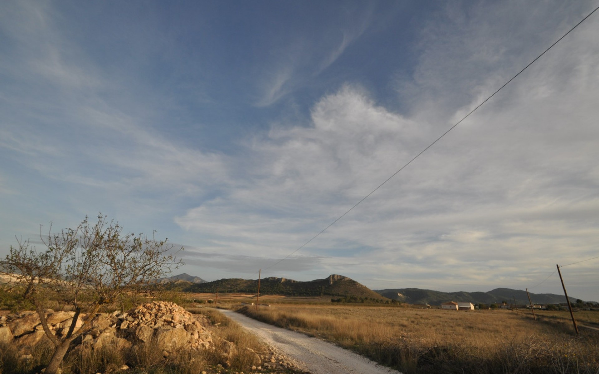 A Vendre - Terre - Abanilla - Abanilla Centro