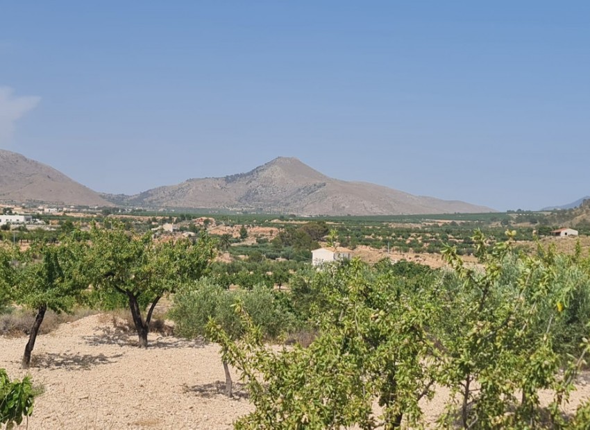 A Vendre - Terre - Abanilla - Abanilla Centro