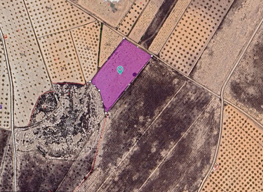 A Vendre - Terre - Abanilla - Cañada de la Leña