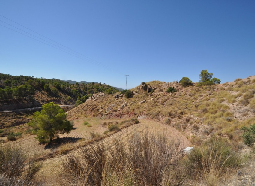 A Vendre - Terre - Abanilla - Macisvenda