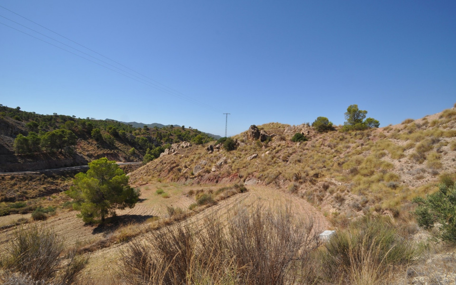 A Vendre - Terre - Abanilla - Macisvenda