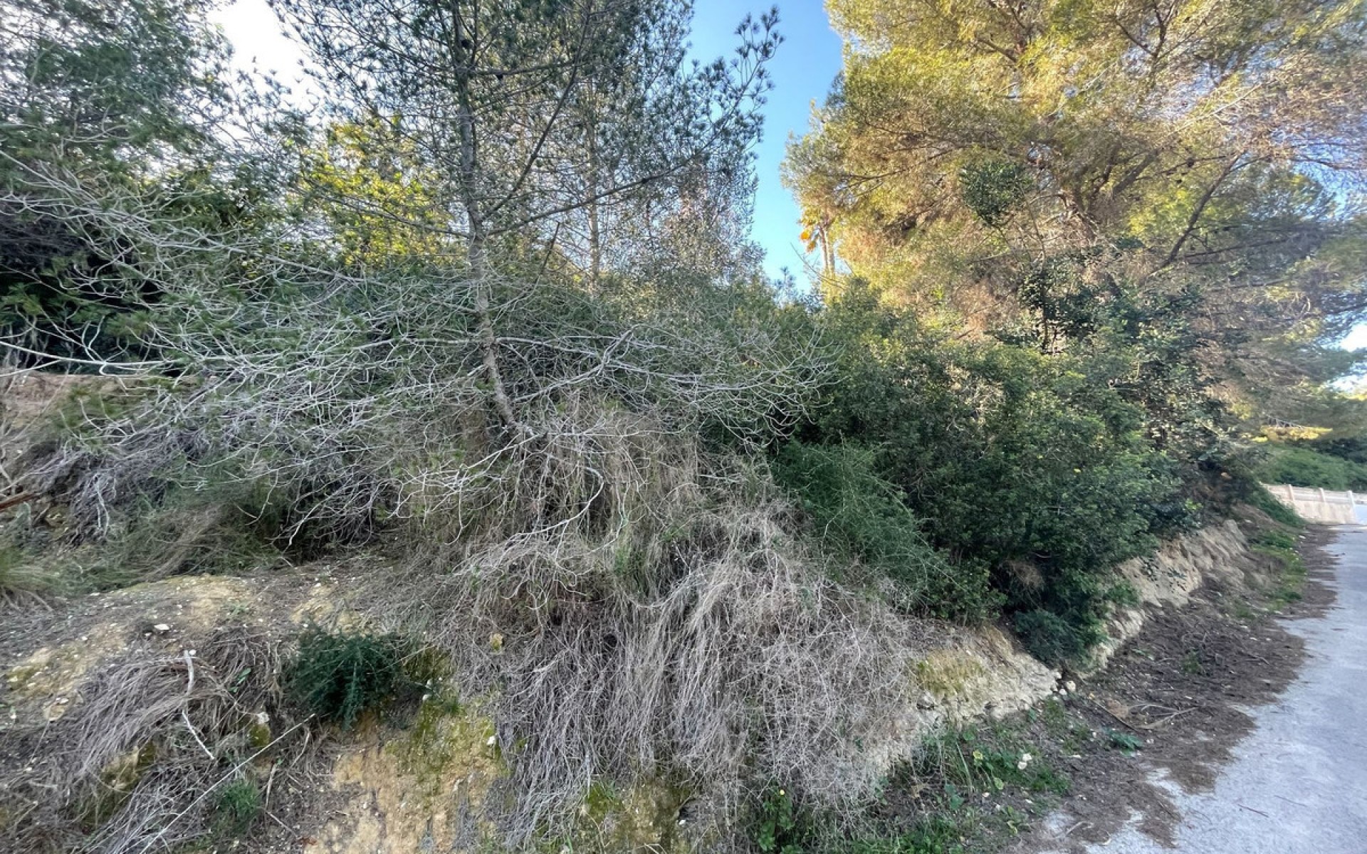 A Vendre - Terre - BenIssa - Benissa Centro