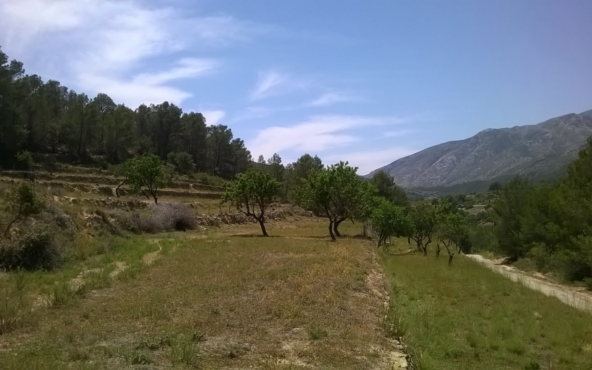 A Vendre - Terre - BenIssa - Benissa Centro